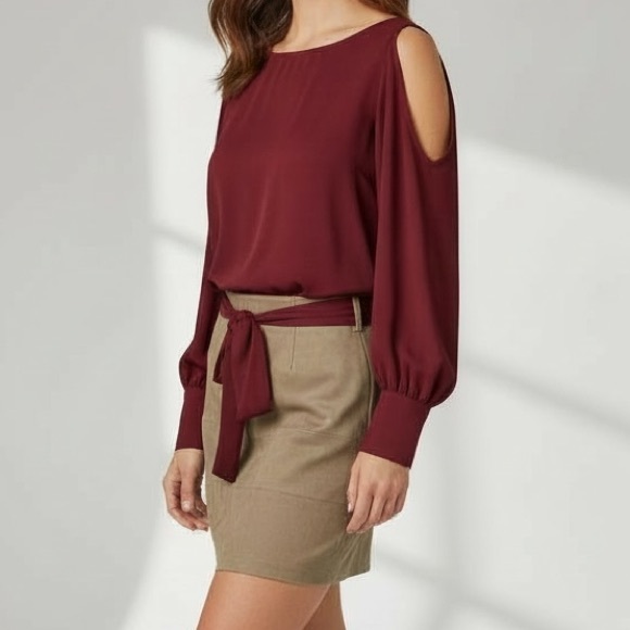 Burgundy Sheer Tan Suede Long Sleeve Dress - Picture 2 of 9